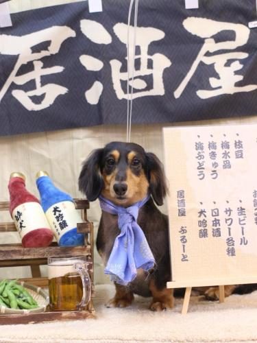 20240604ロイくん